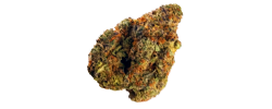img Pink Runtz strain