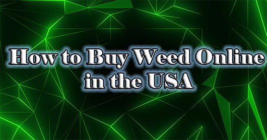 How to Buy Weed Online in the USA