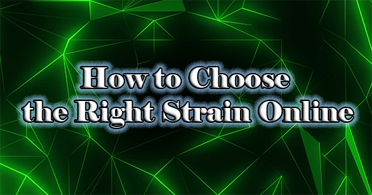 Choosing the Right Strain