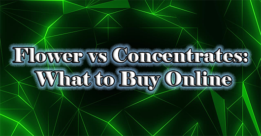 Flower vs Concentrates