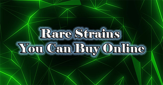 Rare Strains Online