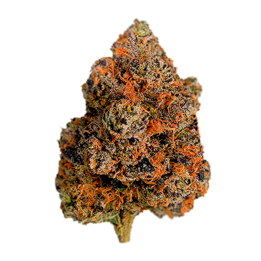 Lemon Cherry Gelato