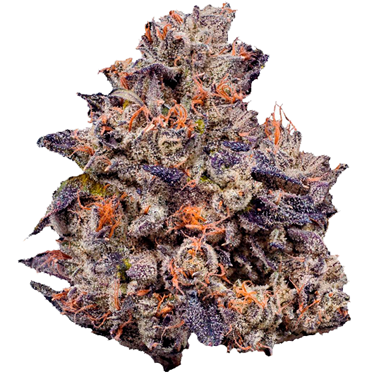 LCGxRS-11