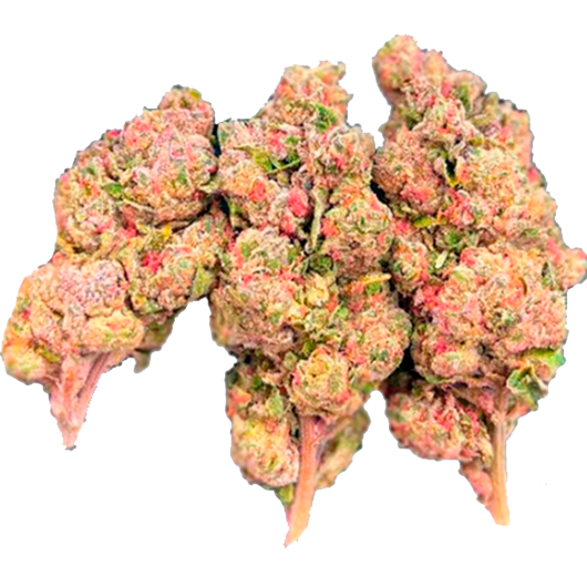 Bubble Gum